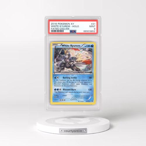 2016 Fates Collide #21 White Kyurem - Holo (PSA 9 MINT)