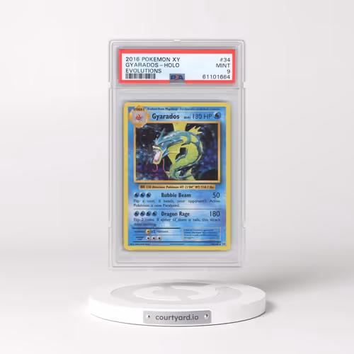 2016 Pokémon XY Evolutions #34 Gyarados - Holo (PSA 9 MINT)