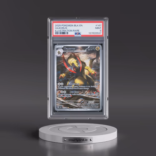 2025 Pokémon Blk EN-Black Bolt #147 Haxorus - Illustration Rare (PSA 9 MINT)