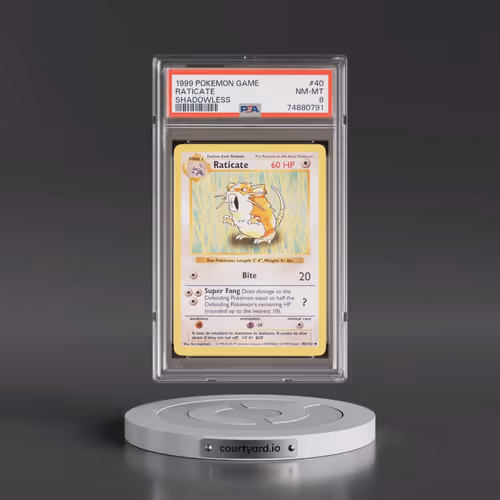 1999 Pokémon Game #40 Raticate - Shadowless (PSA 8 NM-MT)