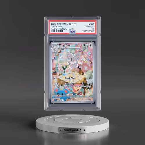 2024 Pokémon Tef EN-Temporal Forces #183 Cinccino - Illustration Rare (PSA 10 GEM MINT)