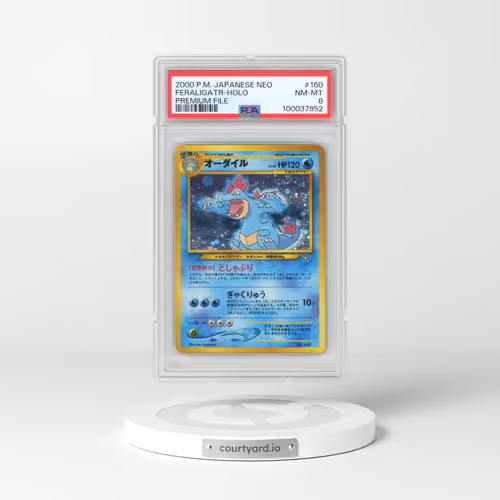 2000 Pokémon Neo #160 Feraligatr - Holo Premium File (PSA 8 NM-MT)