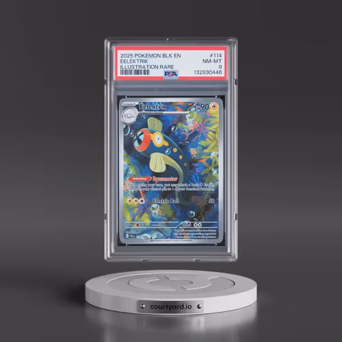 2025 Pokémon Blk EN-Black Bolt #114 Eelektrik - Illustration Rare (PSA 8 NM-MT)