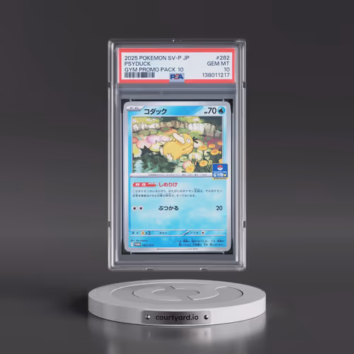 2025 Pokémon SV-P Promo #262 Psyduck - Gym Promo Pack 10 (PSA 10 GEM MINT)