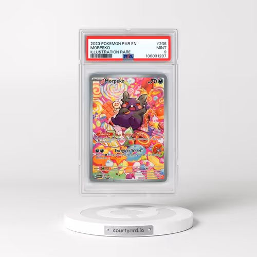 2023 Pokémon Par EN-Paradox Rift #206 Morpeko - Illustration Rare (PSA 9 MINT)