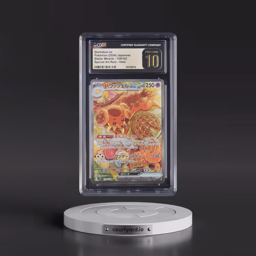 2024 Stellar Miracle #129/102 Dachsbun ex - Super Art Rare Holo (CGC 10 PRISTINE)