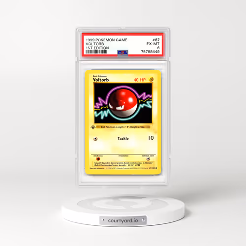 1999 Base Set #67 Voltorb - 1st Edition (PSA 6 EX-MT)