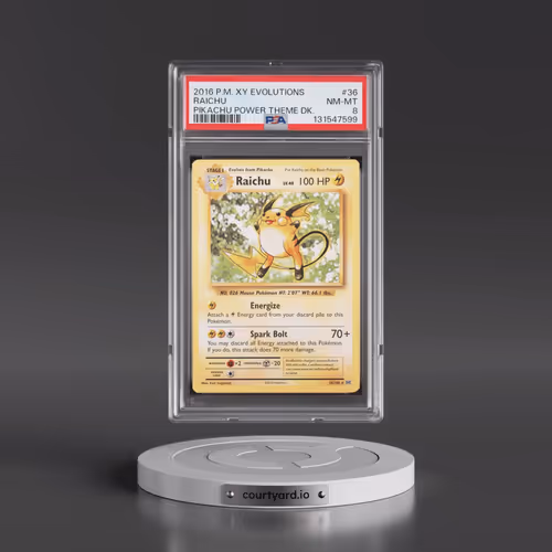 2016 Pokémon XY Evolutions #36 Raichu - Pikachu Power Theme Deck (PSA 8 NM-MT)