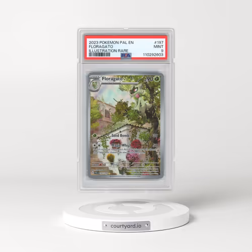 2023 Pokémon Pal EN-Paldea Evolved #197 Floragato - Illustration Rare (PSA 9 MINT)