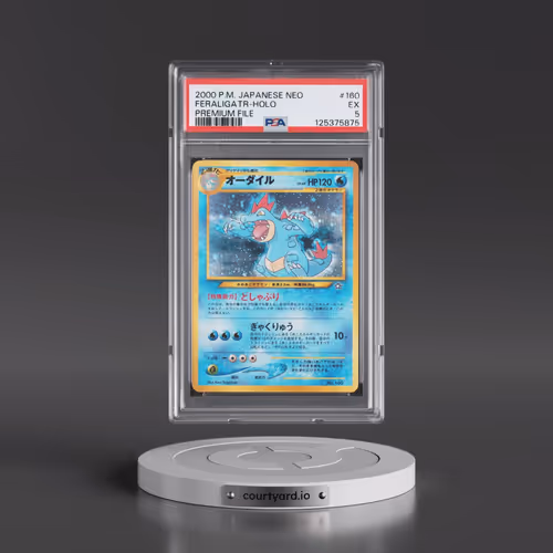 2000 Pokémon Neo #160 Feraligatr - Holo Premium File (PSA 5 EX)
