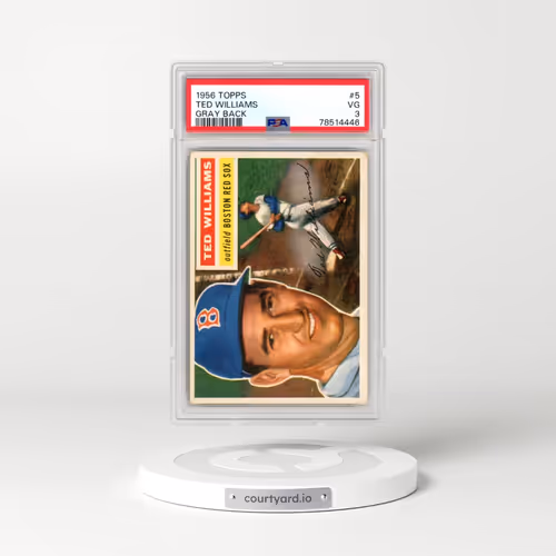 1956 Topps #5 Ted Williams - Gray Back (PSA 3 VG)