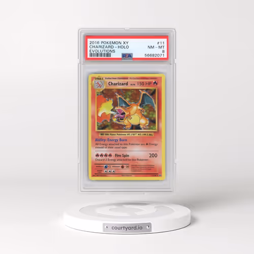 2016 Pokémon XY Evolutions #11 Charizard - Holo (PSA 8 NM-MT)