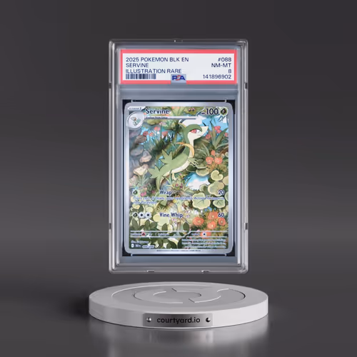 2025 Pokémon Blk EN-Black Bolt #088 Servine - Illustration Rare (PSA 8 NM-MT)
