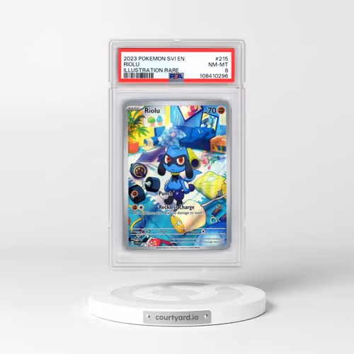 2023 Pokémon Svi EN-Scarlet & Violet #215 Riolu - Illustration Rare (PSA 8 NM-MT)