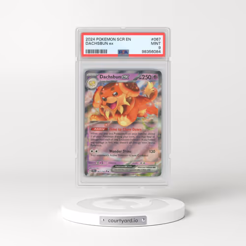 2024 Pokémon Scr EN-Stellar Crown #067 Dachsbun EX - Holo (PSA 9 MINT)