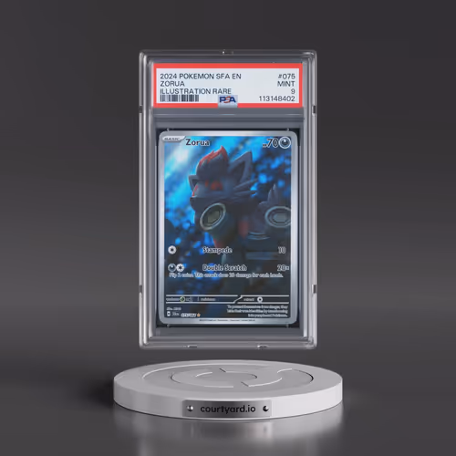 2024 Pokémon Sfa EN-Shrouded Fable #075 Zorua - Illustration Rare (PSA 9 MINT)