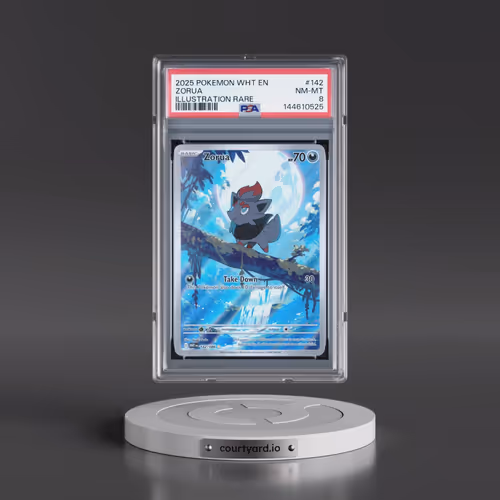 2025 Pokémon Wht EN-White Flare #142 Zorua - Illustration Rare (PSA 8 NM-MT)