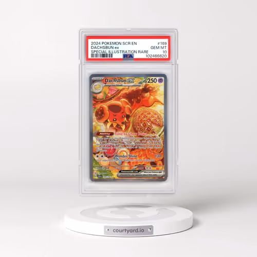 2024 Pokémon Scr EN-Stellar Crown #169 Dachsbun EX - Holo Special Illustration Rare (PSA 10 GEM MINT