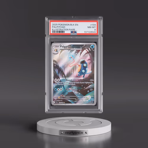 2025 Pokémon Blk EN-Black Bolt #104 Palpitoad - Illustration Rare (PSA 8 NM-MT)