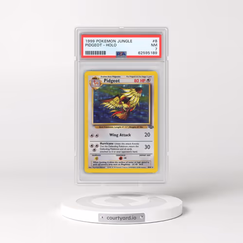 1999 Pokémon Jungle #8 Pidgeot - Holo (PSA 7 NM)