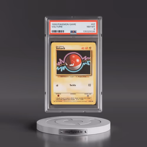 1999 Pokémon Game #67 Voltorb (PSA 8 NM-MT)