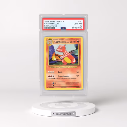 2016 Pokémon XY Evolutions #10 Charmeleon (PSA 10 GEM MINT)