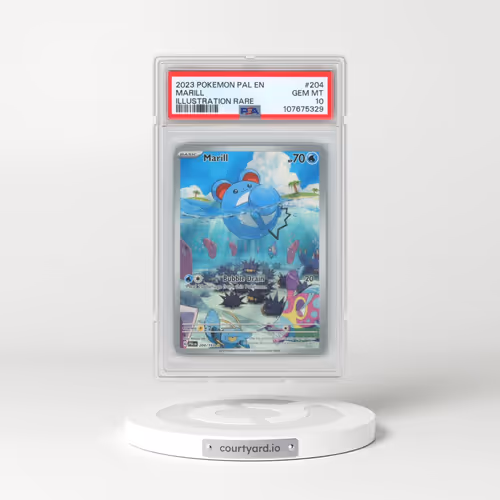 2023 Pokémon Pal EN-Paldea Evolved #204 Marill - Illustration Rare (PSA 10 GEM MINT)