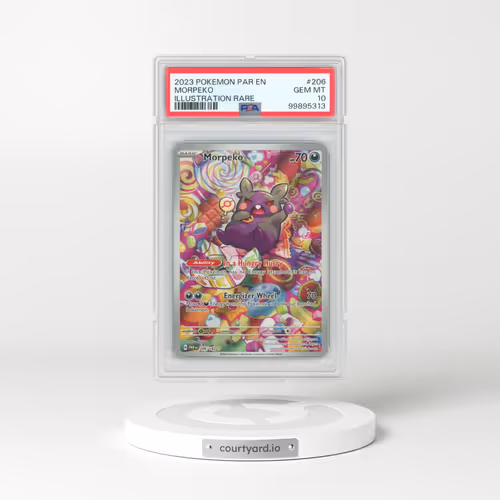 2023 Pokémon Par EN-Paradox Rift #206 Morpeko - Illustration Rare (PSA 10 GEM MINT)