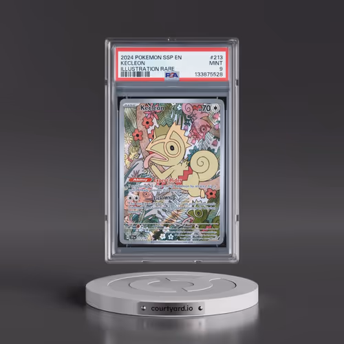 2024 Pokémon Ssp EN-Surging Sparks #213 Kecleon - Illustration Rare (PSA 9 MINT)