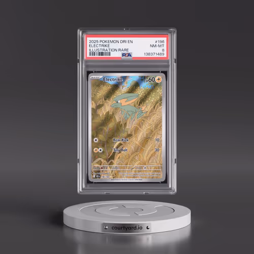 2025 Pokémon Dri EN-Destined Rivals #196 Electrike - Illustration Rare (PSA 8 NM-MT)
