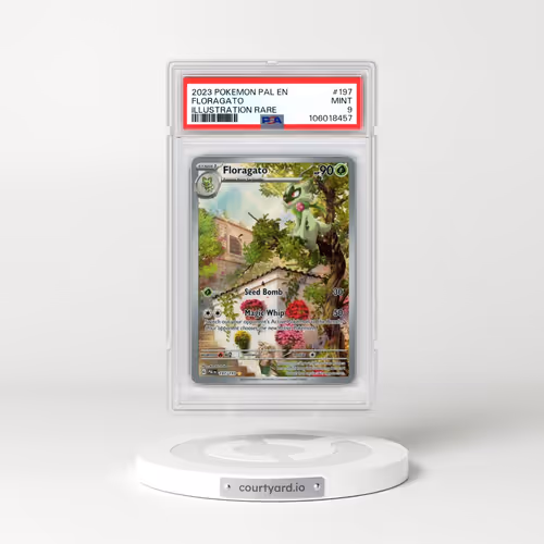 2023 Pokémon Pal EN-Paldea Evolved #197 Floragato - Illustration Rare (PSA 9 MINT)