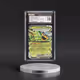 2024 Prismatic Evolutions - PRE EN #012/131 Teal Mask Ogerpon ex - Holo (CGC 10 GEM MINT)