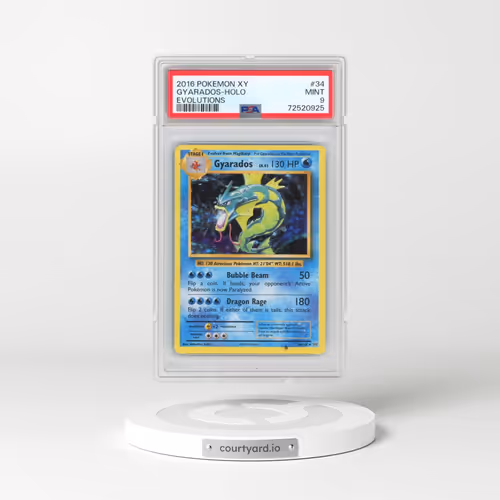 2016 Pokémon XY Evolutions #34 Gyarados - Holo (PSA 9 MINT)