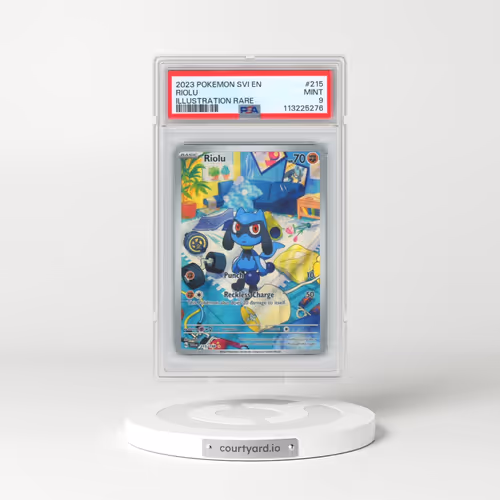2023 Pokémon Svi EN-Scarlet & Violet #215 Riolu - Illustration Rare (PSA 9 MINT)