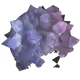 1571