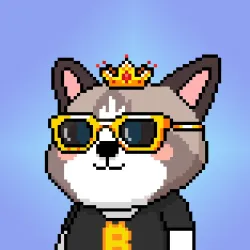 90864121742149054520312777054665117480577936443230298646227410075025741447169