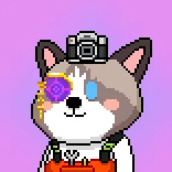 90864121742149054520312777054665117480577936443230298646227414277359182807041