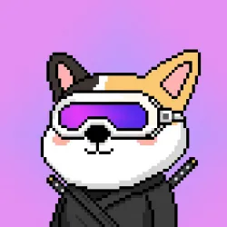 90864121742149054520312777054665117480577936443230298646227408309210067238913