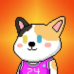 90864121742149054520312777054665117480577936443230298646227411619839578472449