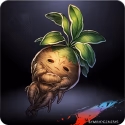 Ripe Mandrake