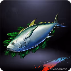 Post-Vegas Tuna