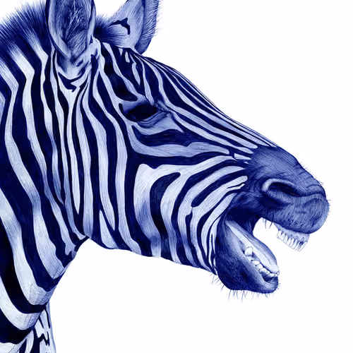 zeb