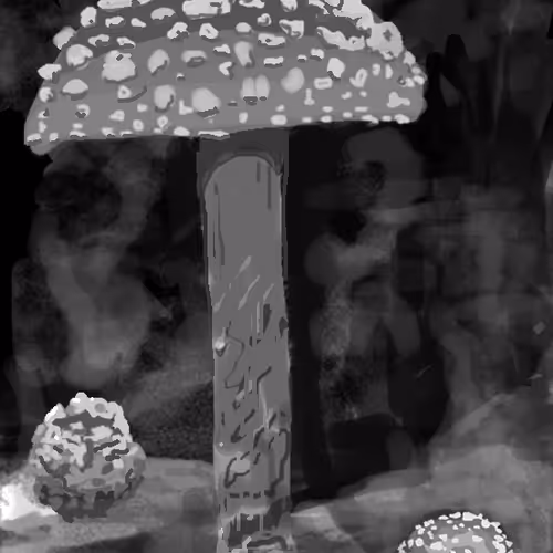 🍄1️⃣myco bkgnd (after spores )