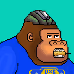 3135