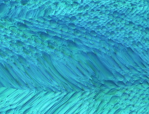 Item #112432685719535948494771002149425211123058968509661319328901198841312278741007 Media