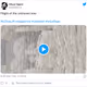 1323510429914554368
