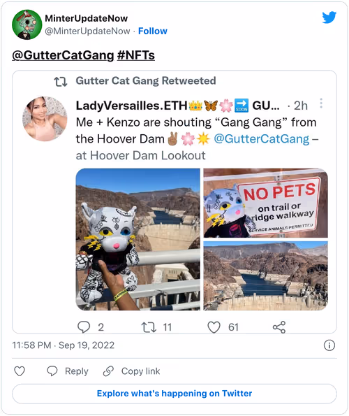 Item #1572012225371705349 Media