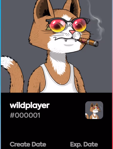 wildplayer