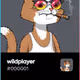 wildplayer
