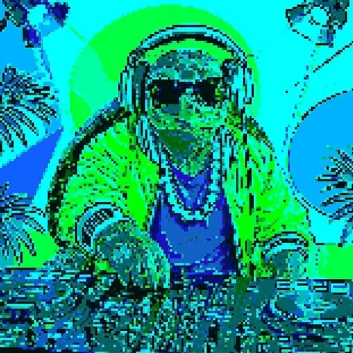 TARTARUGA DJ